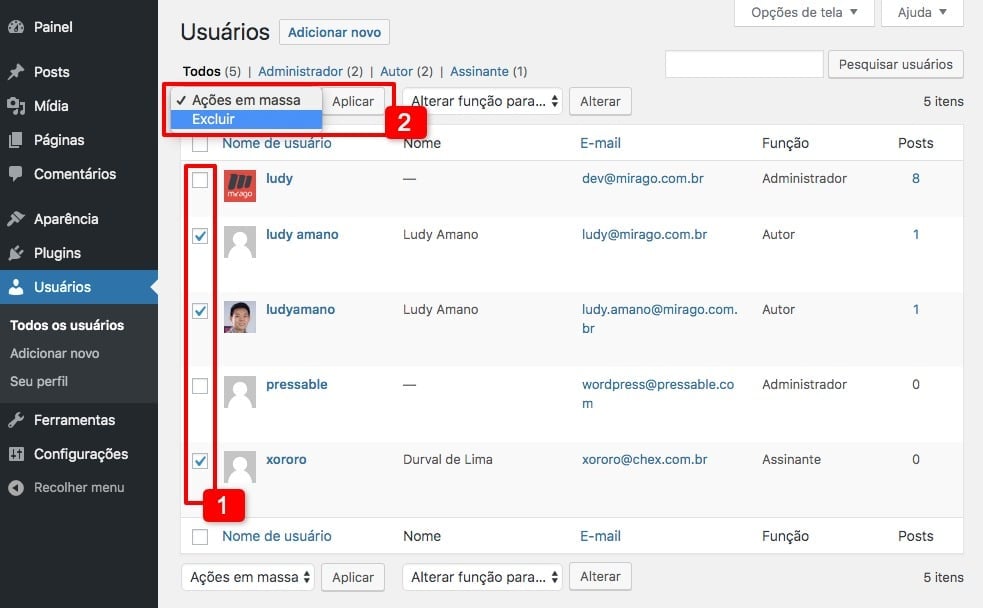 Como excluir múltiplos usuários no WordPress