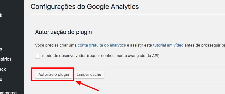 Clique no botão Autorize o plugin.