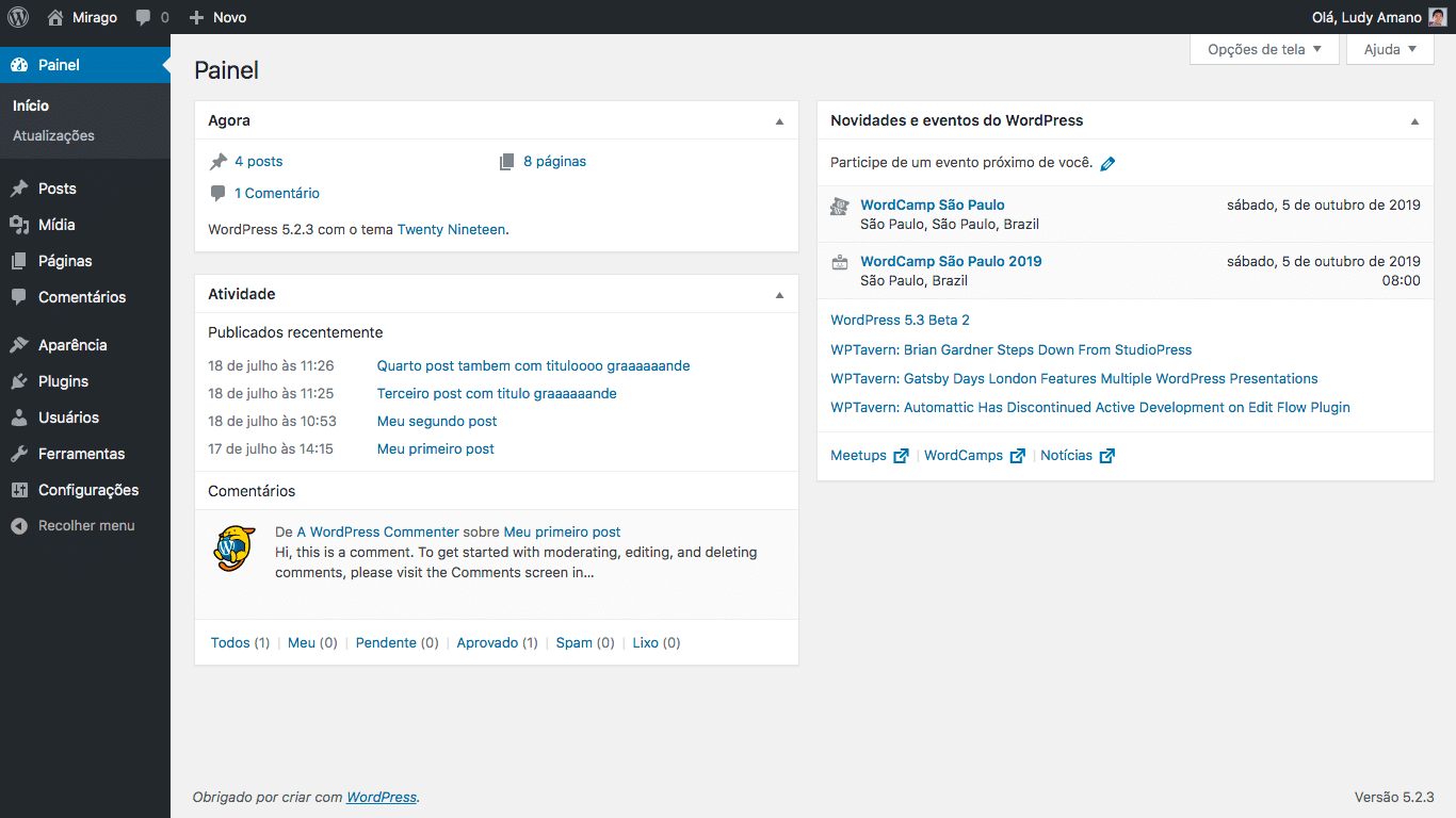Painel do WordPress para Administradores