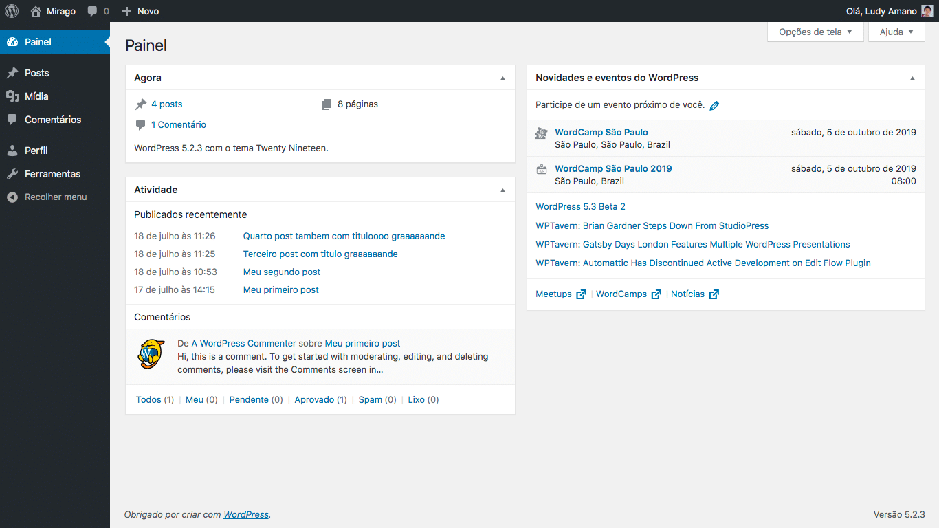Painel do WordPress para Autores