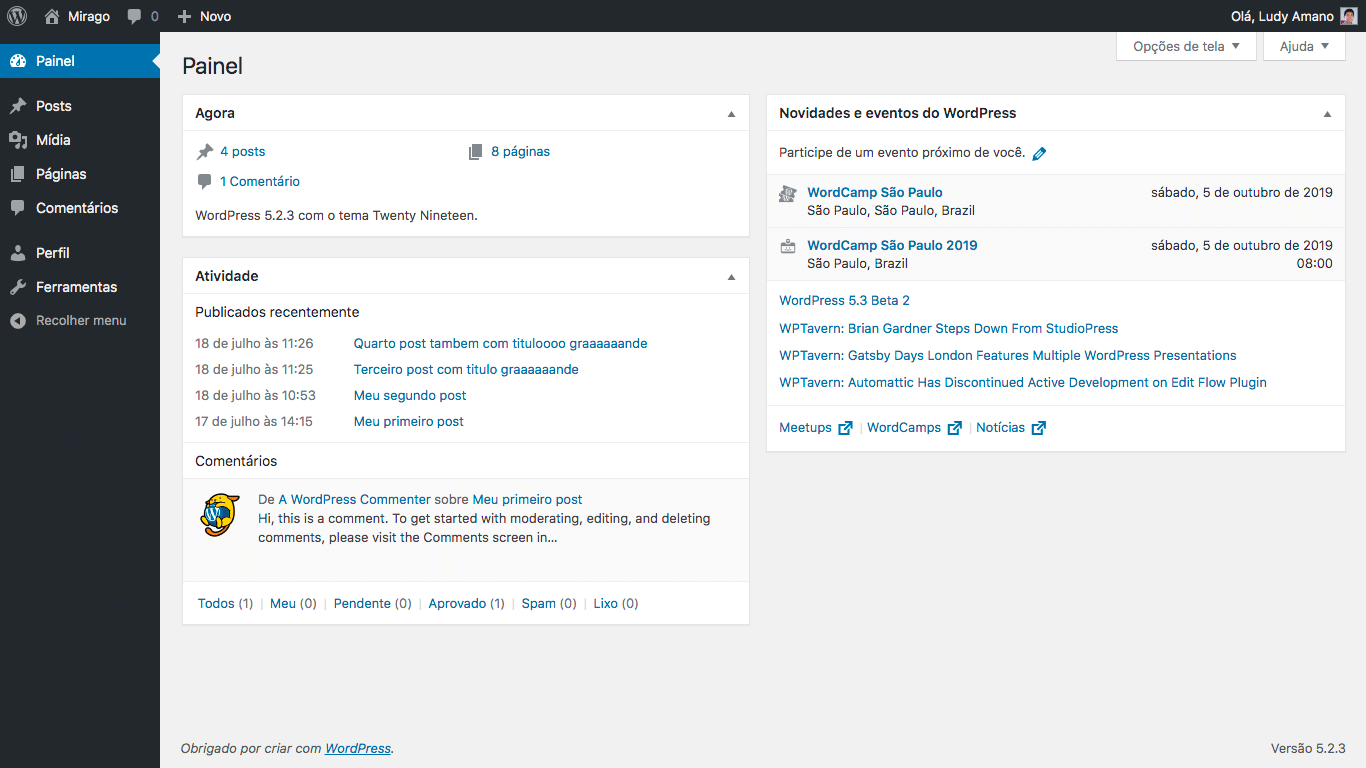 Painel do WordPress para Editores