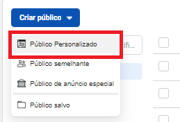 criar público personalizado